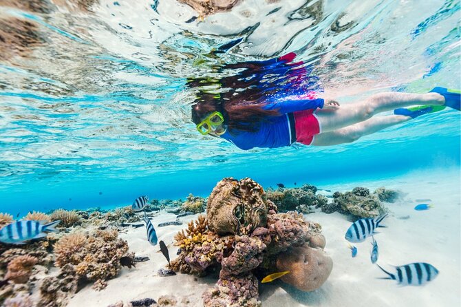 Half Moon Bay Jet Ski Tour & Snorkeling the La Famille Shipwreck - Who should book this Providenciales adventure?