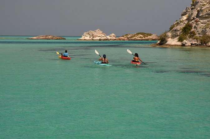 Kayak Eco Tour - Learning from guides such as Geneile, Mickie, and Allie