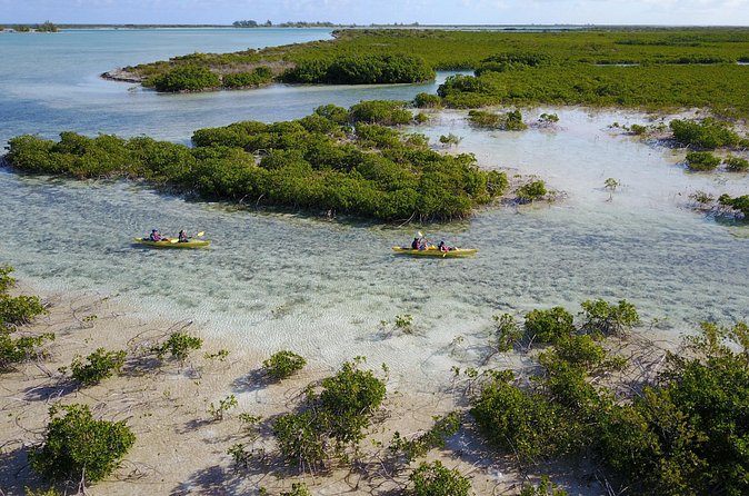 Kayak Eco Tour - Paddling, walking, and swimming at the beach