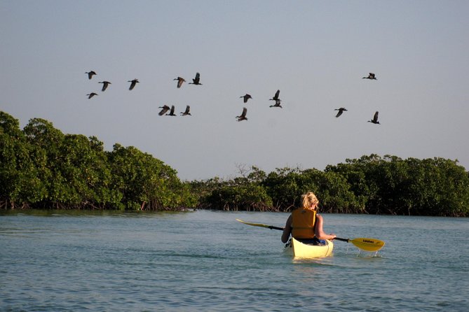 Kayak Eco Tour - Weather, tide, and the real meaning of flexibility