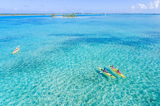 Kayak Eco Tour - Is $296 a fair price for four hours?