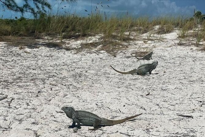 Let me take you to Caicos Jetski safari Private Tour - Starting from Long Bay Beach