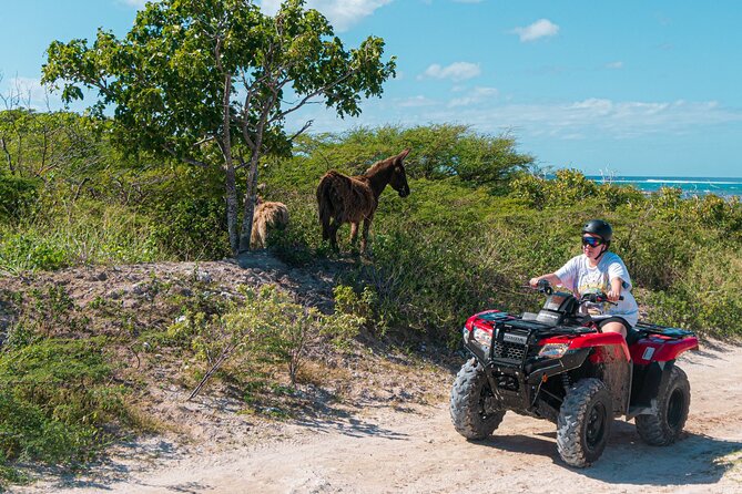 Lets Ride Adventures ATV Tour in Grand Turk - What This Grand Turk ATV Tour Is Really Like