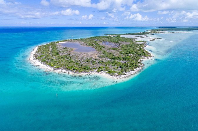 Mangrove Cay and Iguana Island Tours - Paddling through Mangrove Cay