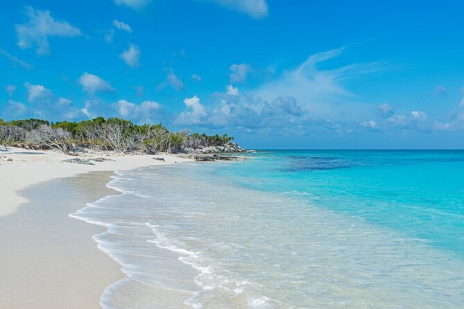Mangrove Cay and Iguana Island Tours - Is $150 a fair price?