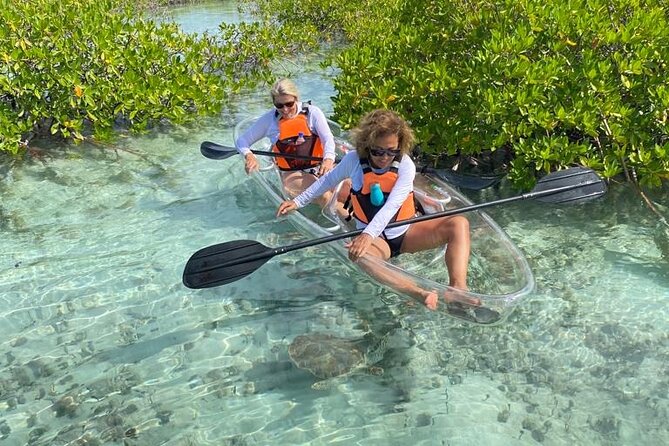 Mangrove Cay And Iguana Island Venture In Turks And Caicos Island - What you get for $145