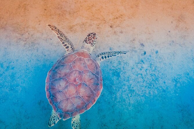 Mangrove Cay And Iguana Island Venture In Turks And Caicos Island - Gear, safety, and what to carry