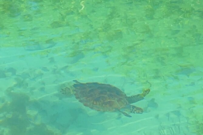 Mangrove Cay And Iguana Island Venture In Turks And Caicos Island - Timing, group size, and pickup realities