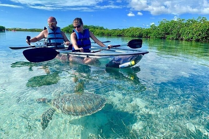 Mangrove Cay Tour - From hotel pickup to the mangrove channels