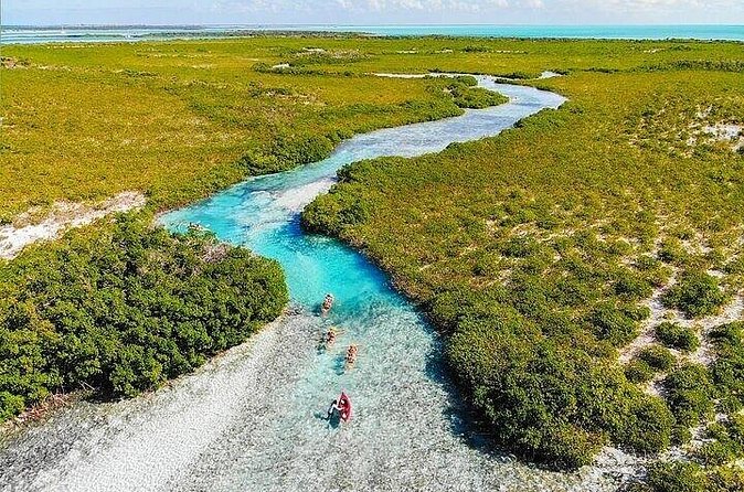 Mangrove Cay Tour - Who should book this Mangrove Cay outing?