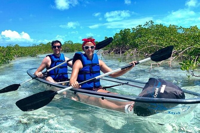 Mangrove Cay Tour - Why Mangrove Cay is such a good wildlife setting