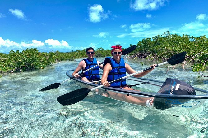 Mangrove & Iguana Clear Kayak Tour - Why clear kayaks make this tour different