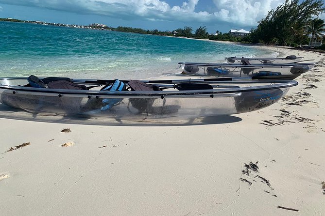 Mangrove & Iguana Clear Kayak Tour - Paddling through Mangrove Cay