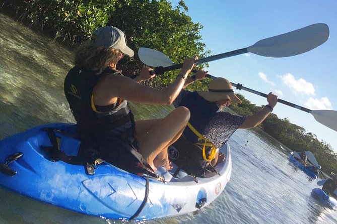 Mangroves Kayak Tour - Key points before you book