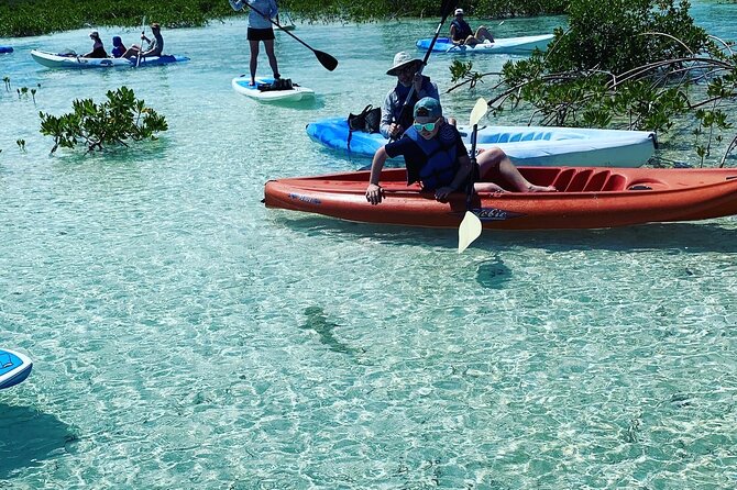 Mangroves Kayak Tour - Why Providenciales’ mangroves deserve two hours