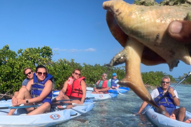 Mangroves Kayak Tour - Tide, wind, and the day’s conditions