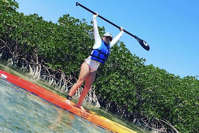 Mangroves Stand-Up Paddleboard Tour - Key points at a glance