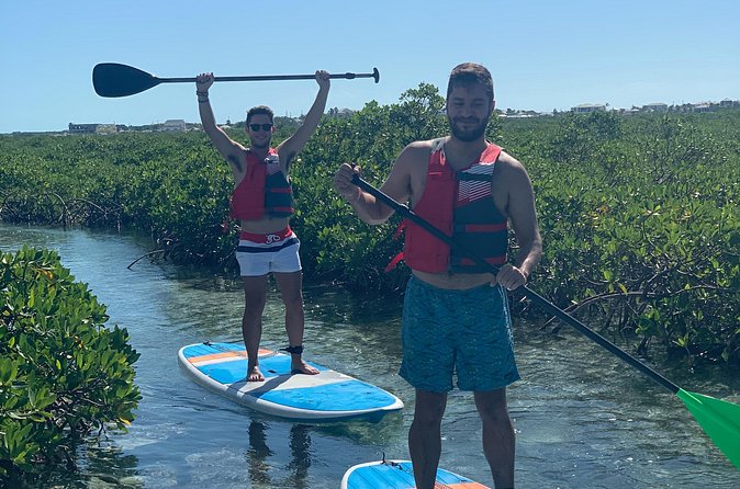 Mangroves Stand-Up Paddleboard Tour - Why the private format matters