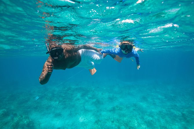 Morning Half Day Cruise from Providenciales with Snorkeling and Iguana Island - Safety, comfort, and who will enjoy it most