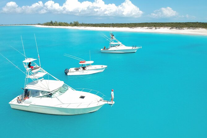 Private 1/2 Day Afternoon Charter Deep Sea Fishing on Wahooter's - The Best Part: Bringing Your Catch Back to Shore