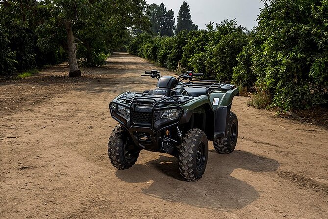 Private ATV Adventures at Island of Grand Turk - Why Four Wheels Change Your View of Grand Turk