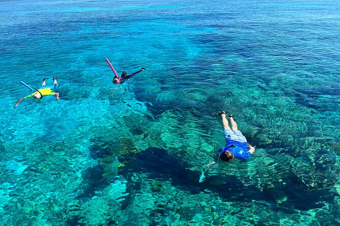Private Boat Island Hopping & Snorkeling in Turks & Caicos 4Hrs - Leaving South Bank Marina and passing the Conch Farm