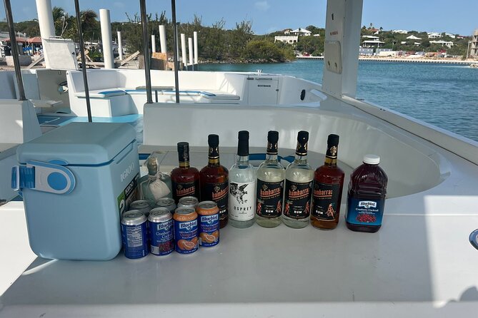 Private Boat Tour with Snorkeling and Beach BBQ - Snorkeling in clear Turks and Caicos water