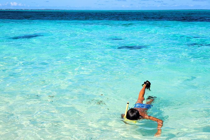 Private Boat Tour with Snorkeling, Island Hopping, and Noahs Ark - Who will enjoy this boat tour most