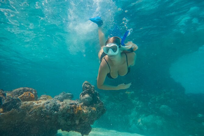 Private Half Day Luxury Snorkeling Charter - Key points at a glance