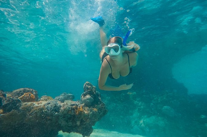 Private Half Day Luxury Snorkeling Charter - What the crew adds to the experience