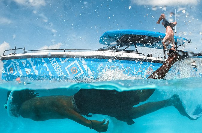 Private Half Day Luxury Snorkeling Charter - Is $1,800 a fair price?