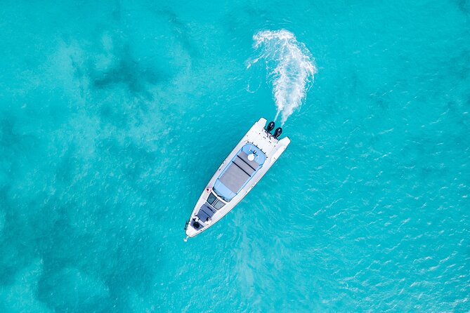 Private Half Day Luxury Snorkeling Charter - Shipwreck snorkeling and underwater scenery