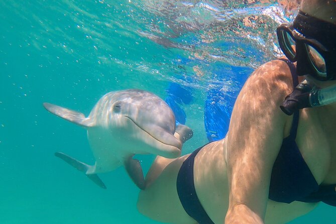 Private Reef, Beach and Sandbar Tour from Providenciales - What this private Providenciales boat trip is really like
