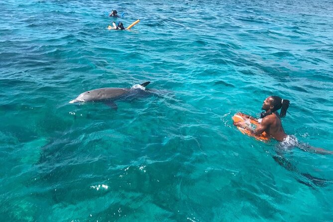 Private Reef, Beach and Sandbar Tour from Providenciales - La Famille Express for optional thrills
