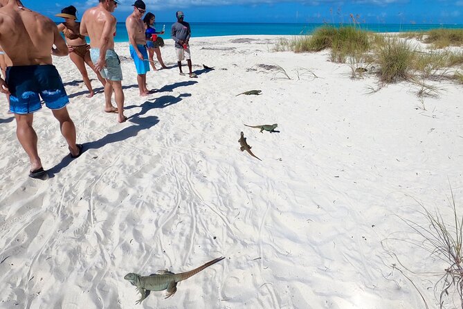 Private Reef, Beach and Sandbar Tour from Providenciales - Leaving Grace Bay Beach by power catamaran