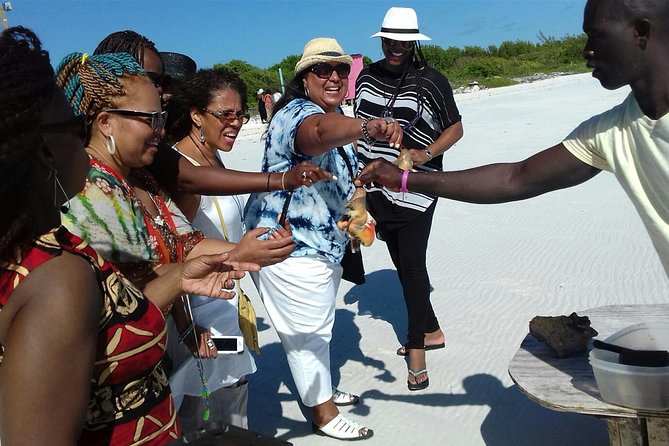 Providenciales Group Island Tour - Grace Bay: shopping, rum, and a first look at Provo