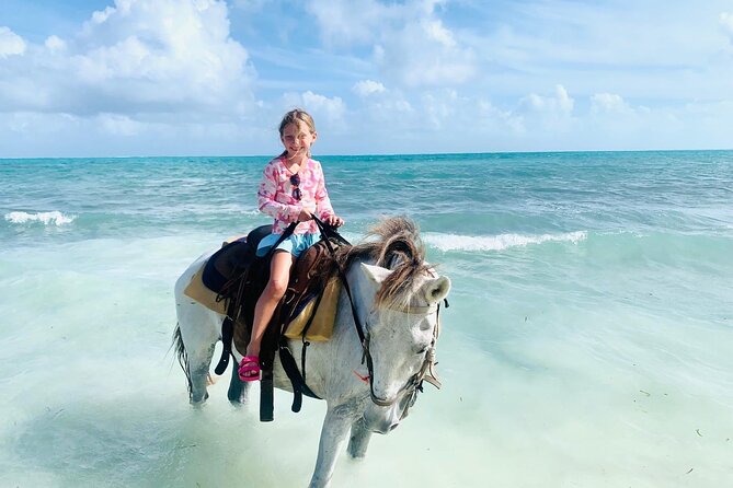 Shared Horseback Riding in Turks and Caicos - The First Steps: Safety Before Scenery
