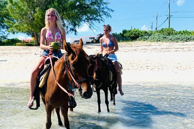 Shared Horseback Riding in Turks and Caicos - Entering the Shallow Water, When Conditions Allow