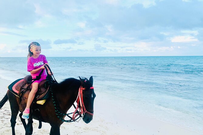 Shared Horseback Riding in Turks and Caicos - What the $210 Price Includes