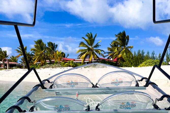 Sip & Sea Mangrove Glass Boat Tour Grand Turk Island - Six things to know before booking