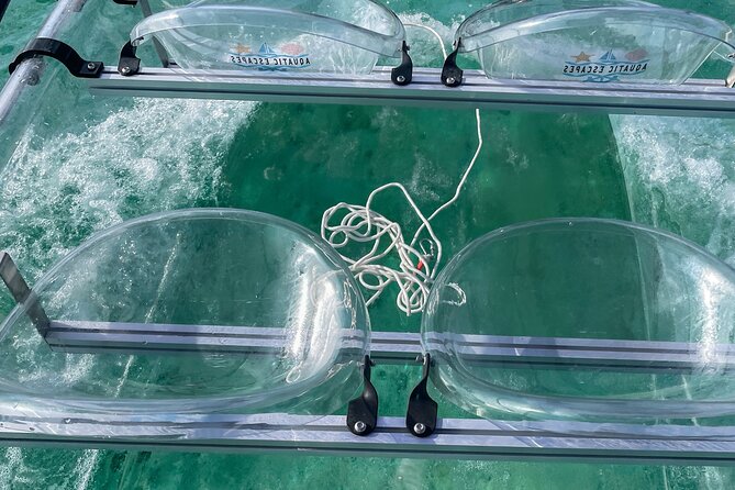 Sip & Sea Mangrove Glass Boat Tour Grand Turk Island - Why North Creek makes a good short outing
