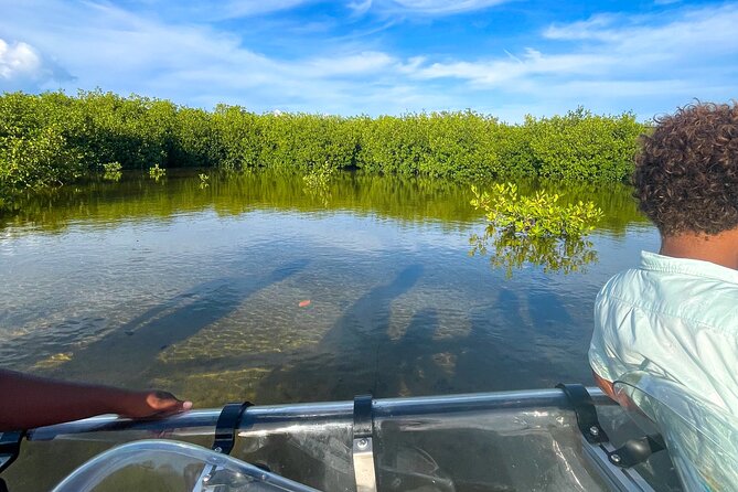 Sip & Sea Mangrove Glass Boat Tour Grand Turk Island - Columbus Landfall National Park from the water