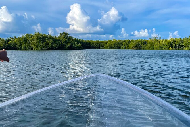 Sip & Sea Mangrove Glass Boat Tour Grand Turk Island - Grand Turk Lighthouse and the northern coast