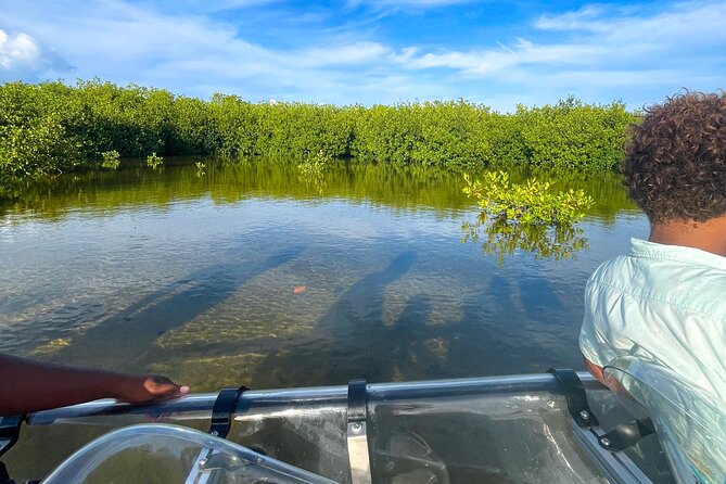 Sip & Sea Mangrove Glass Boat Tour Grand Turk Island - A private trip with a personal feel