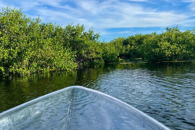 Sip & Sea Mangrove Glass Boat Tour Grand Turk Island - Meeting points, timing, and weather