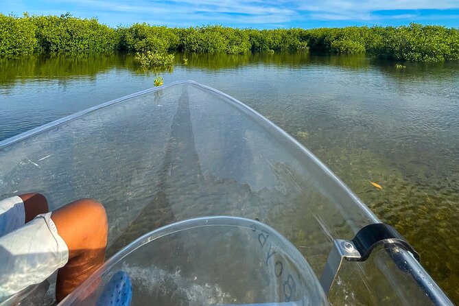 Sip & Sea Mangrove Glass Boat Tour Grand Turk Island - Riding in a clear-bottom boat
