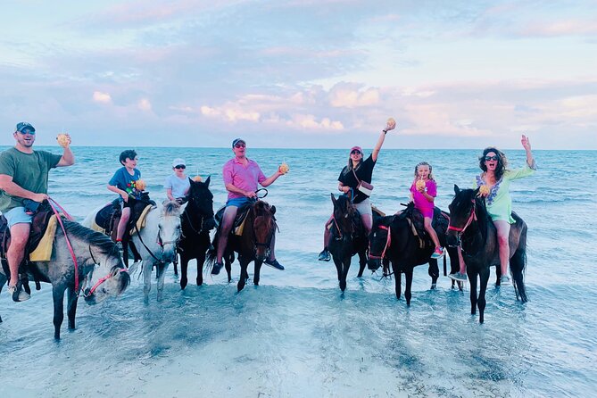 Small Group Horseback Riding Adventure in Caicos Islands - Key points to know before you ride