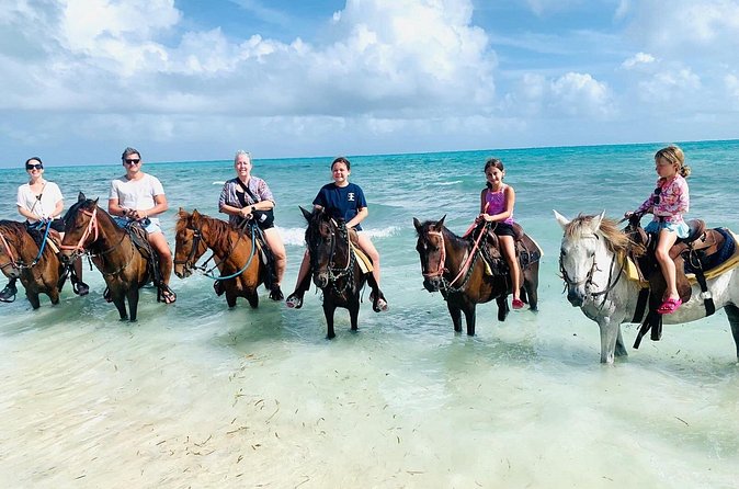 Small Group Horseback Riding Adventure in Caicos Islands - Who should book this beach ride?