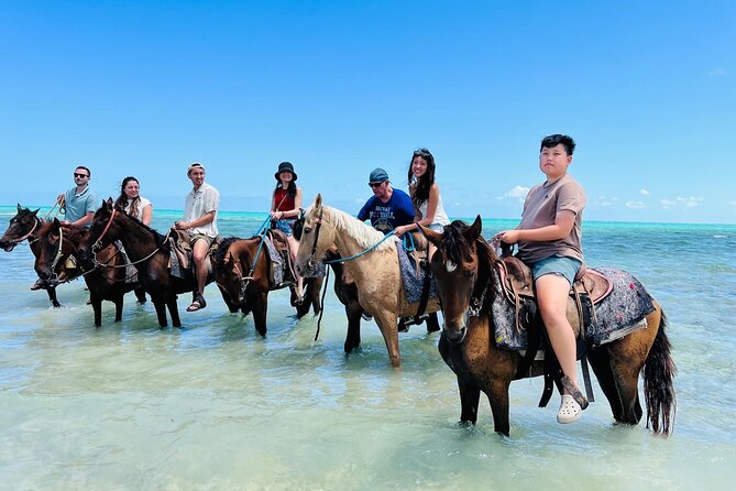 Small Group Horseback Riding Adventure in Caicos Islands - The bottom line: a memorable hour, with clear limits