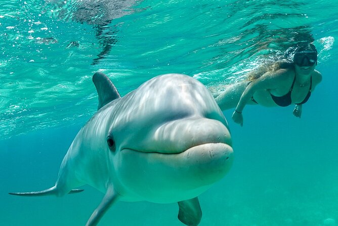 Snorkel Eco Tour - Key points to know before you book
